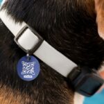 🐶 Crea chapas QR para mascotas con tu máquina láser