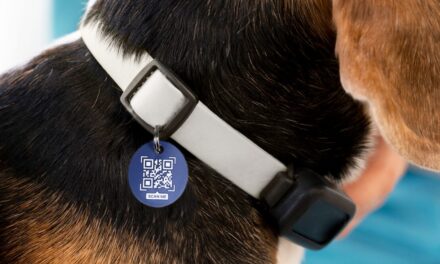 🐶 Crea chapas QR para mascotas con tu máquina láser