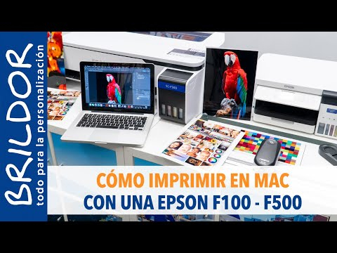 Impresora de sublimación A4 Epson SureColor SC-F100