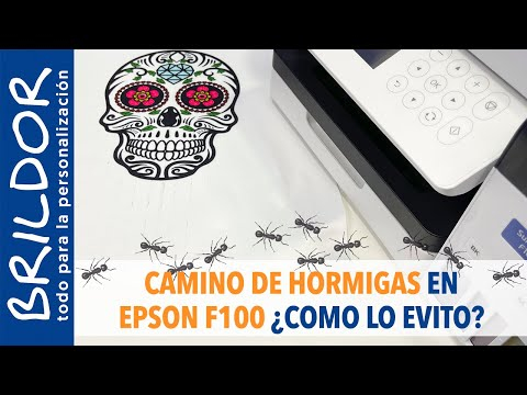 Impresora de sublimación A4 Epson SureColor SC-F100