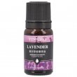 Fragrance for Air Fresheners - 10ml Bottle - Lavender