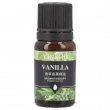 Fragrance for Air Fresheners - 10ml Bottle - Vanilla